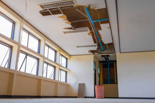Best Residential water damage restoration  in Durand, IL