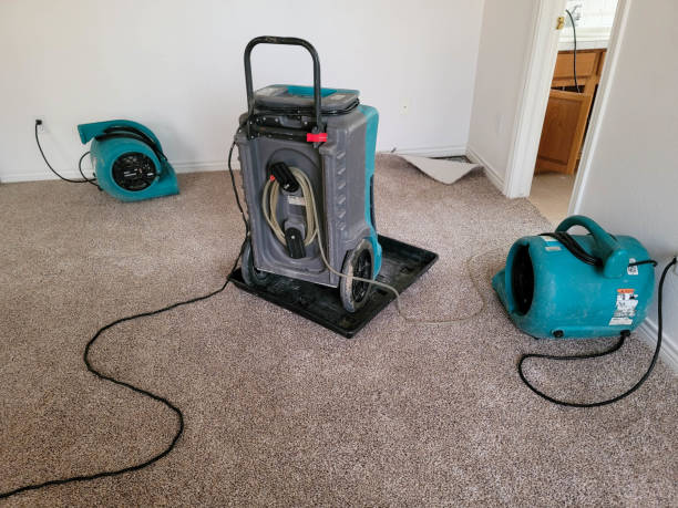 Best Water damage restoration services  in Durand, IL