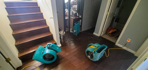 Best Basement water damage restoration  in Durand, IL