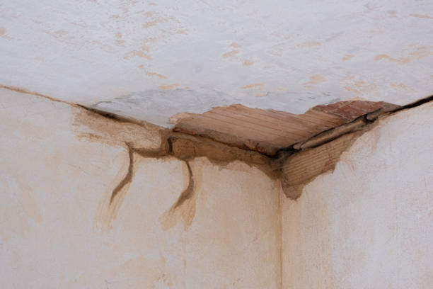 Best Commercial water damage restoration  in Durand, IL