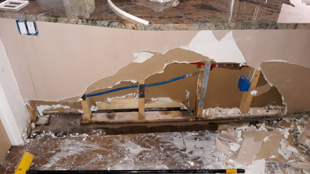 Best Professional water damage repair  in Durand, IL