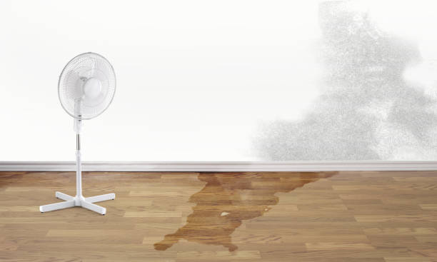 Best Water damage restoration experts  in Durand, IL