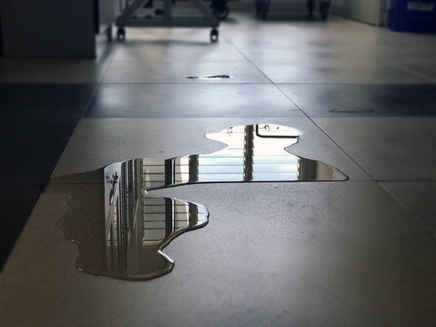Best Carpet water damage restoration  in Durand, IL