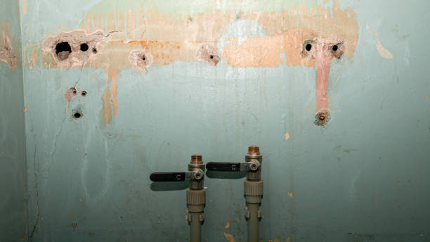 Best Flooded house restoration  in Durand, IL