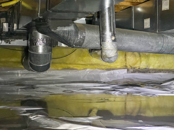 Best Flood damage cleanup  in Durand, IL