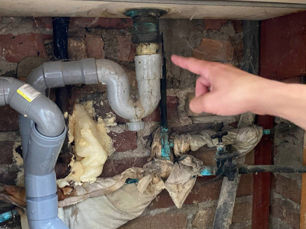 Best Water damage contractors near me  in Durand, IL