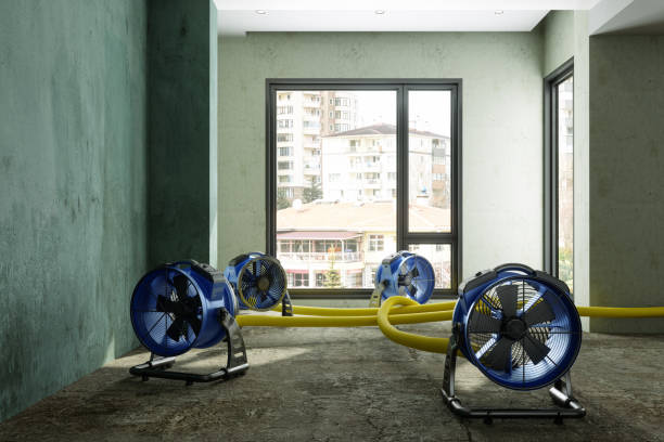 Best Sewage cleanup and water damage restoration  in Durand, IL
